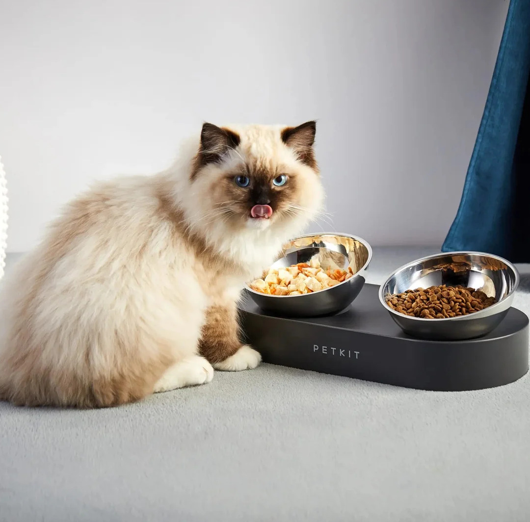 Petkit Fresh Nano Metal Adjustable Double Bowls